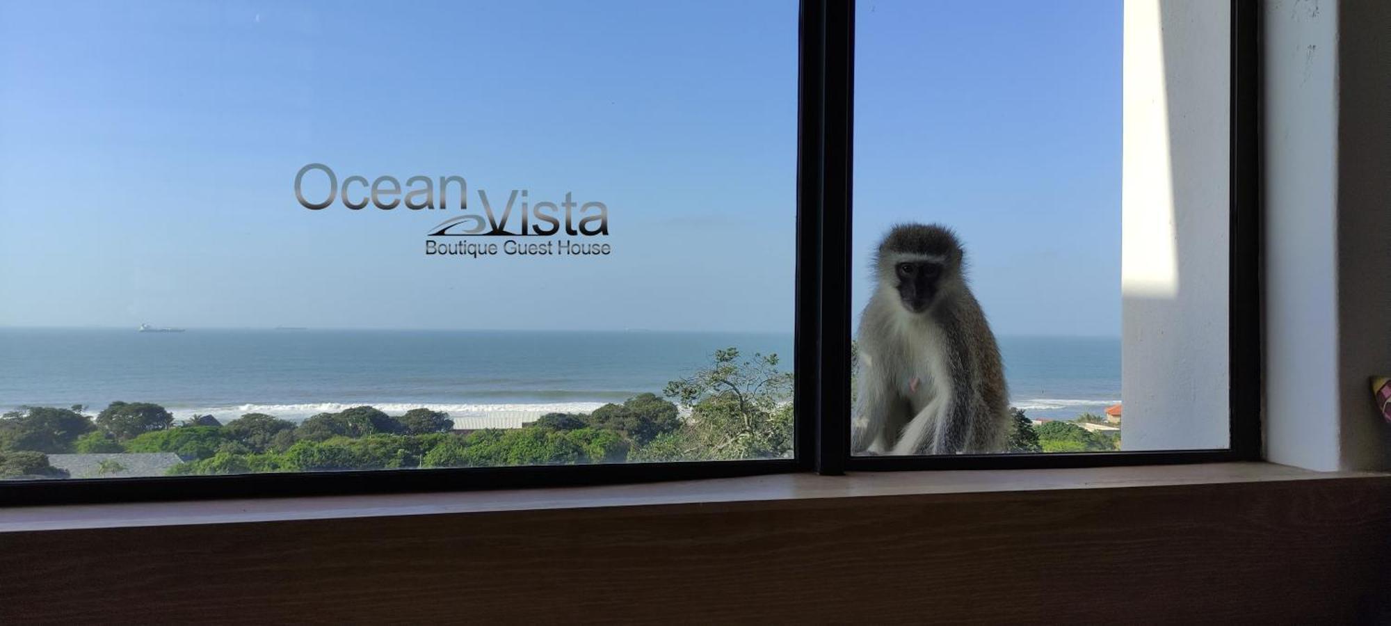Ocean Vista Boutique Guest House Durban Eksteriør bilde