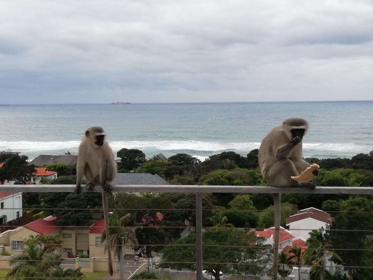 Ocean Vista Boutique Guest House Durban Eksteriør bilde